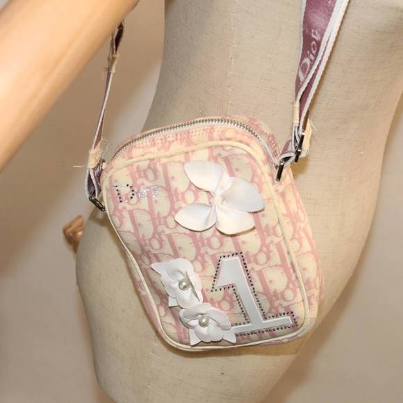 Dior Trotter Shoulder Bag - Picture 8 of 16